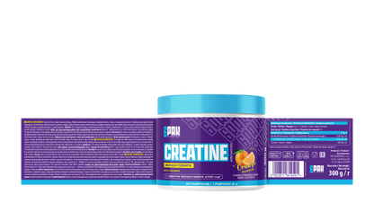 6PAK Creatine Monohydrate 300g