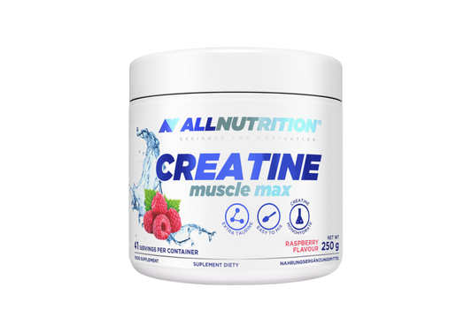 All Nutrition Creatine Muscle Max 250g